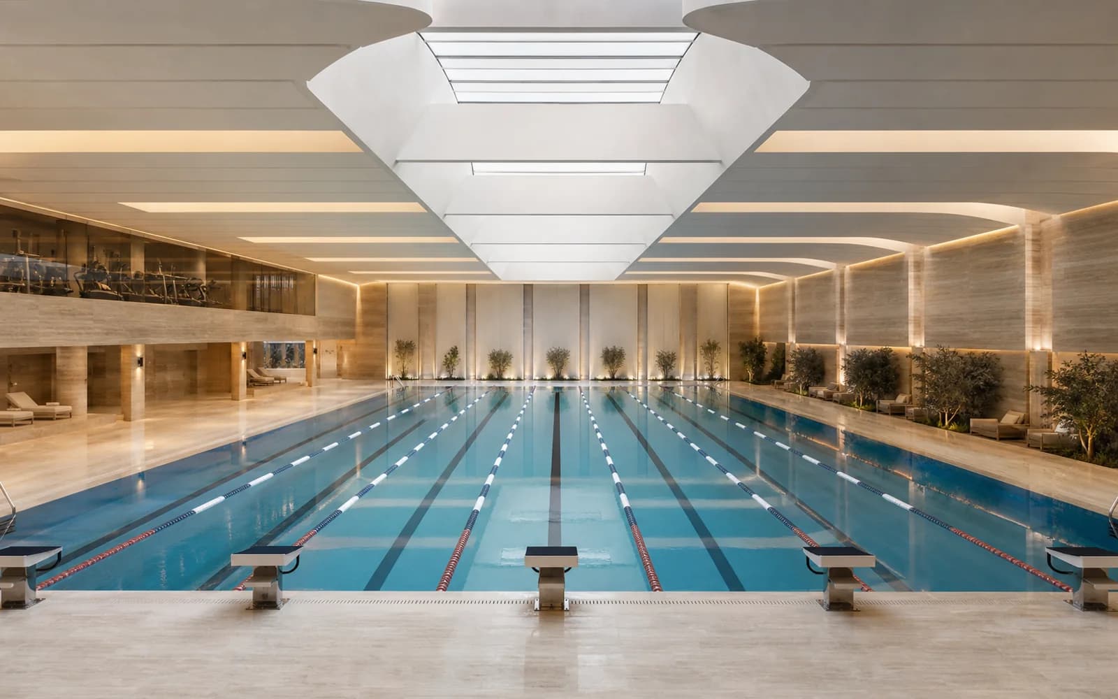 Olympic Pool Construction: Sizes and Standards